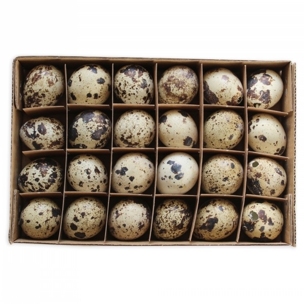 Křepelčí vejce 24ks 3cm natural